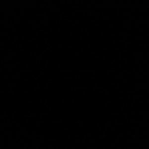 Meet your Posher, Lacey